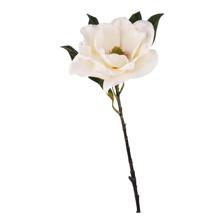 72CM LG MAGNOLIA1 - 456-513409