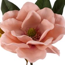 MAGNOLIA RAMA DECOR 8X10X72CM - 456-513411
