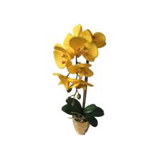 ARTIFICIAL ORCHID 9X45.5CM - 456-55250