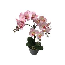 ARTIFICIAL ORCHID 19.5X64CM - 456-55267