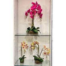 ORQUIDEA C/POTE 25X25XCM - 456-55360