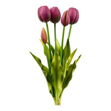 SINGL TULIP      H:39.5CM - 456-55416
