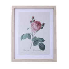 CUADRO 40X50X1.7CM - 530-422712