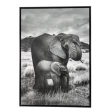 IMAGEM 50X3X70 CM - 530-423624
