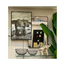 IMAGEM 50X3X70 CM - 530-423624