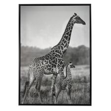 IMAGEM 50X3X70 CM - 530-423626