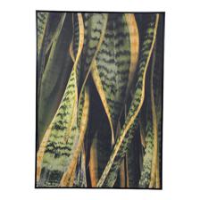 FRAMED CANVAS 100X140CM - 532-28561