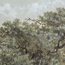 conjunto - 532-28763