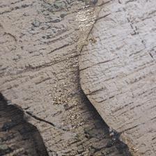 framed painting - 532-28844