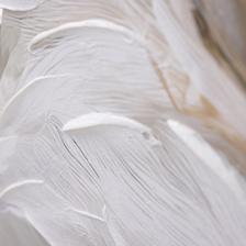 CUADRO DECOR 82.6X4.3X122.6CM - 532-28911