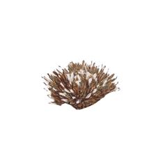 CUADRO DECOR 142.6X4.3X72.6CM - 532-28920