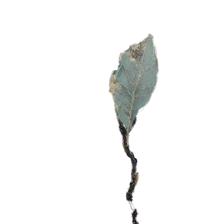 CUADRO DECOR 82.6X4.3X122.6CM - 532-28923