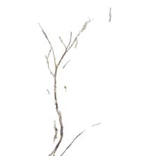 CUADRO DECOR 82.6X4.3X122.6CM - 532-28924