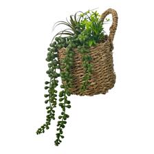 PLANTA C/POTE 12X12X19CM - 532-53211