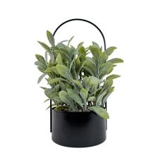 ARTIFICIAL PLANTS - 532-53242