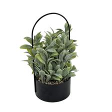 ARTIFICIAL PLANTS - 532-53242
