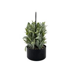 ARTIFICIAL PLANTS - 532-53242