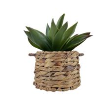 PLANTAS ARTIFICIAIS - 532-53244