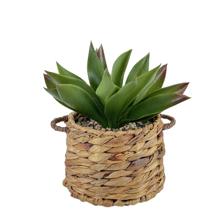 PLANTAS ARTIFICIAIS - 532-53244