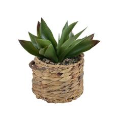 PLANTAS ARTIFICIAIS - 532-53244