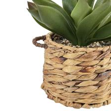 PLANTAS ARTIFICIAIS - 532-53244