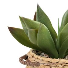 PLANTAS ARTIFICIAIS - 532-53244