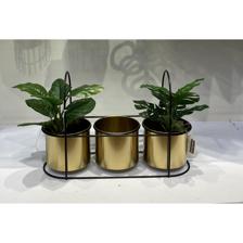 POTE 46.5X17X30CM - 541-620027