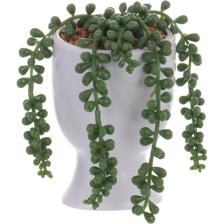 PLANTA ARTF. C/POTE - 567-49179