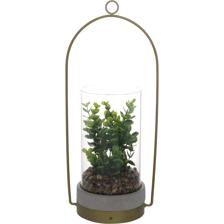 PLANT - 567-49181