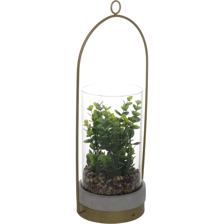 PLANT - 567-49181