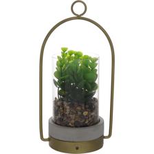 PLANT - 567-49183