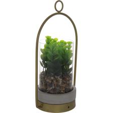 PLANT - 567-49183