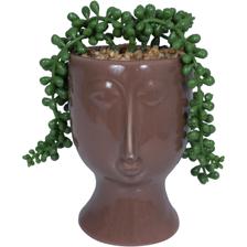 Plant - 567-49194