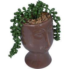 Plant - 567-49194