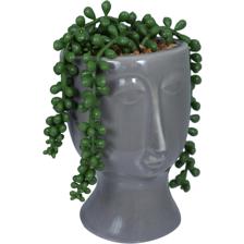 Plant - 567-49195