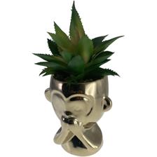 PLANTA 8.5X10X20.5CM - 567-49227