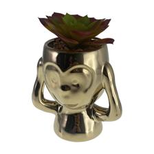 PLANTA 8.5X10X15.5CM - 567-49228