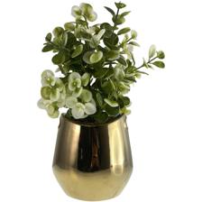 PLANT - 567-49233