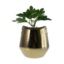 PLANTA 12X13X22CM - 567-49234
