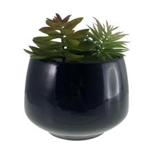 PLANTA 18.5X18.5X28CM - 567-49246