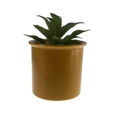 PLANT - 567-49254
