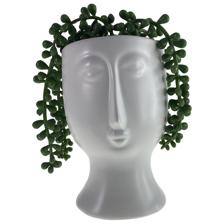 PLANT - 567-49258