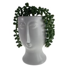 PLANT - 567-49258