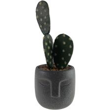 PLANTA 8X9X20CM - 567-49260