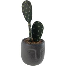 PLANTA 8X9X20CM - 567-49260