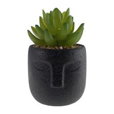 PLANTA 8X9X13CM - 567-49261