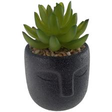 PLANTA 8X9X13CM - 567-49261