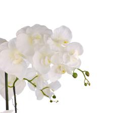 ORQUIDEA CON POTE X72CM - 567-90004