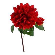 RAMA DALIA X70CM - 567-90017