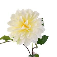 RAMA DALIA X70CM - 567-90019